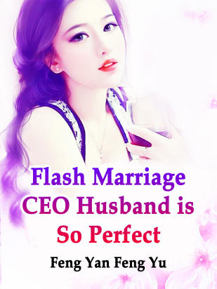 Flash Marriage: CEO Husband is So Perfect